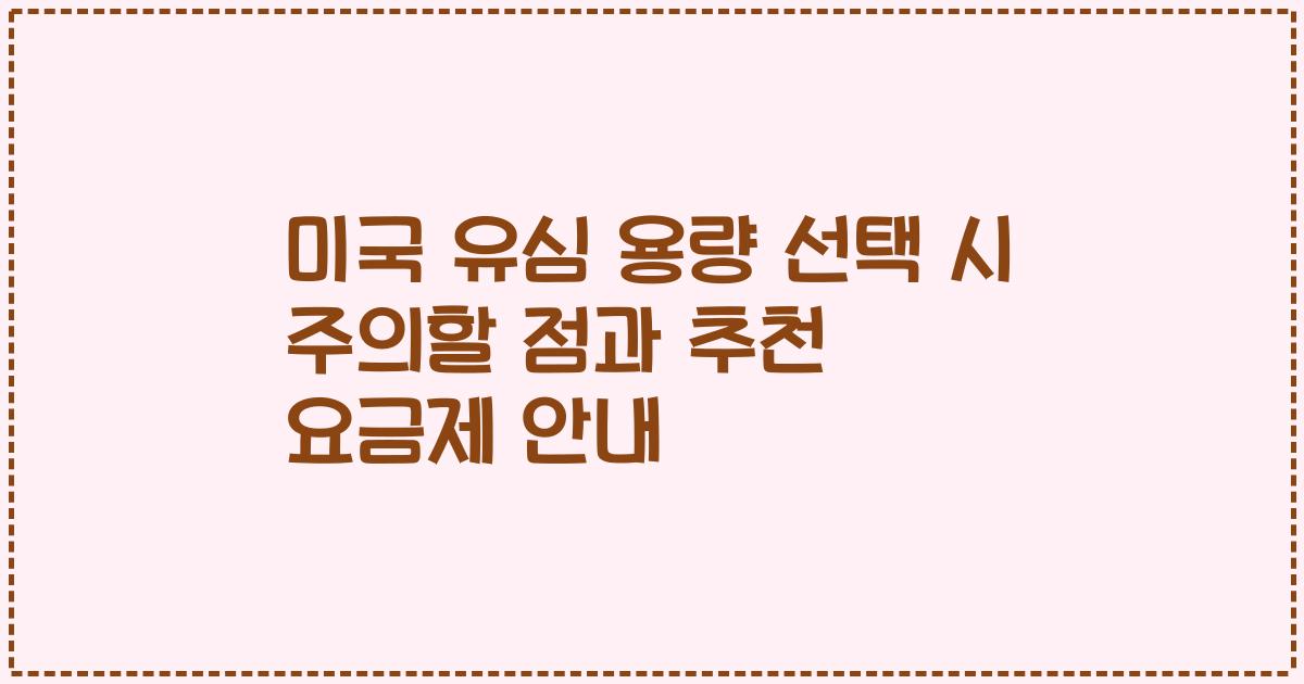 미국 유심 용량 선택 시 주의할 점과 추천 요금제 안내